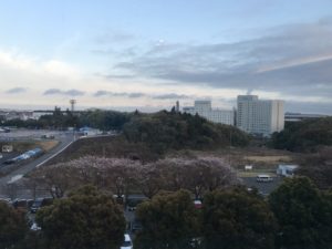 First picture in Japan. What a view...